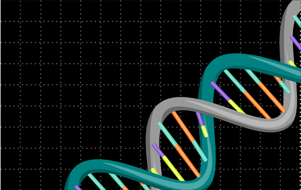 中山哪里做親子鑒定可靠？