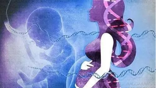 無創產前基因檢測(NIPT)到底有什么作用? 無創產前基因檢測(NIPT)到底有什么作用?