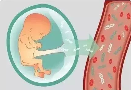 無創產前基因檢測（NIPT）到底有什么作用？