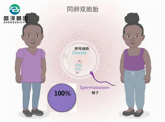 廣東男子做親子鑒定,竟發(fā)現(xiàn)自家雙胞胎有一個不是自己的?! 廣東男子做親子鑒定,竟發(fā)現(xiàn)自家雙胞胎有一個不是自己的?!