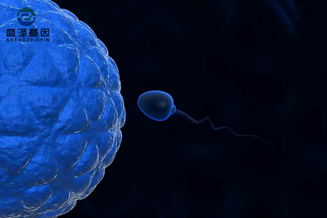 廣東男子做親子鑒定,竟發(fā)現(xiàn)自家雙胞胎有一個不是自己的?! 廣東男子做親子鑒定,竟發(fā)現(xiàn)自家雙胞胎有一個不是自己的?!