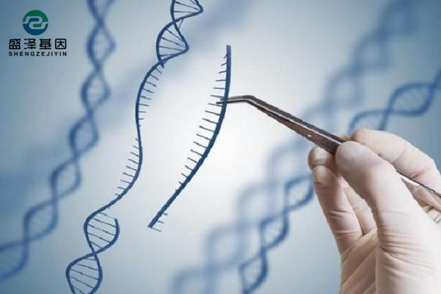 廣東男子做親子鑒定,竟發(fā)現(xiàn)自家雙胞胎有一個不是自己的?! 廣東男子做親子鑒定,竟發(fā)現(xiàn)自家雙胞胎有一個不是自己的?!