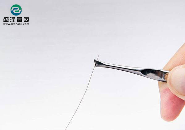 采集指甲和毛發做親子鑒定需要裝進信封嗎？有什么需要注意？