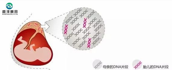 中山隱私親子鑒定所：單眼皮基因夫妻能生出雙眼皮寶寶嗎？