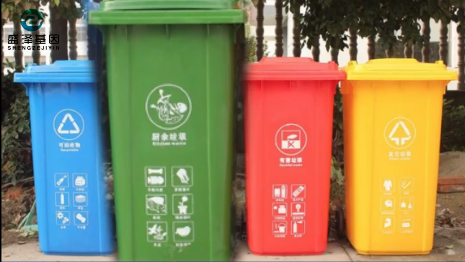 綠帽親子鑒定節(jié)目：性開放正在毀掉年輕人的未來