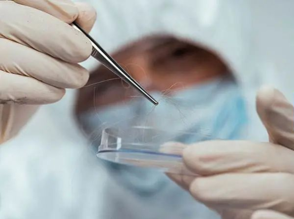 隨便拔下一根帶毛囊的毛發可以做親子鑒定樣本嗎？