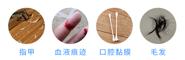 懷孕多久可以做無(wú)創(chuàng)胎兒親子鑒定樣本采集？