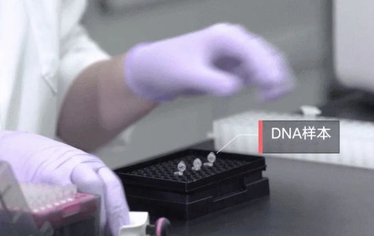 人員如何快速采樣？鑒定機構對收到的親子鑒定樣本負責