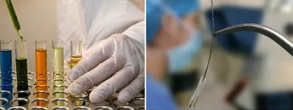 【科普】毛發親子鑒定樣本為什么一定要帶根部毛囊？