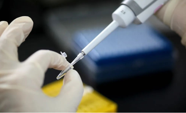 如何推算懷了誰的孩子？無創胎兒親子鑒定準確率可靠嗎？