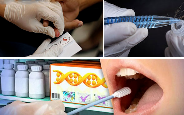 個人親子鑒定郵寄常規樣本如何保證準確性？