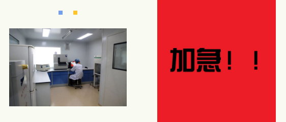 親子鑒定檢測方式有哪些，多久可以領取親子鑒定結果？