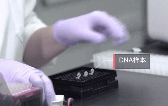 郵寄親子鑒定樣本準(zhǔn)不準(zhǔn)確？鑒定結(jié)果會不會出錯？