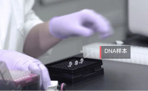 孩子不像丈夫怎么采集親子鑒定樣本確認關系？需要幾個工作日？