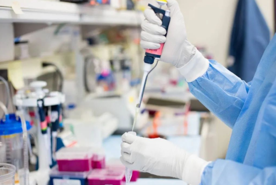 煙頭、血痕、毛發,做親子鑒定用哪些樣本最為準確? 煙頭、血痕、毛發,做親子鑒定用哪些樣本最為準確?