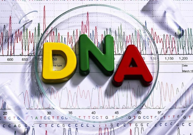染色體遺傳：親子鑒定就是看血型么？