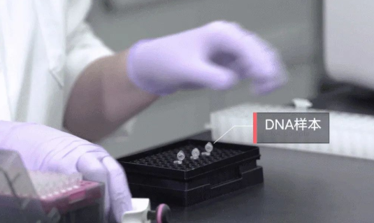 親子鑒定檢驗(yàn)血型血痕,被鑒定人應(yīng)了解自己或近親屬有無遺傳病史 親子鑒定檢驗(yàn)血型血痕,被鑒定人應(yīng)了解自己或近親屬有無遺傳病史