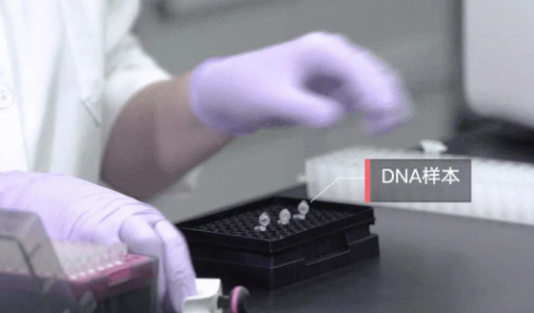 做親子鑒定需要申請嗎？如何親子鑒定？