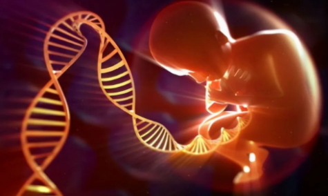 孕期做胎兒親子鑒定合適嗎？孕期有哪些胎兒親子鑒定方法？