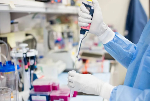 DNA親子鑒定要花多少錢？親子鑒定電泳檢測實驗流程