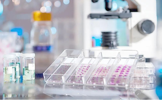 想帶小孩去做親子鑒定該如何取證呢？用紗布或棉簽等采集樣本