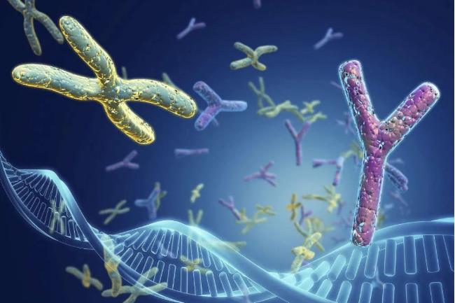 梁老伯:爺爺跟孫子可以做親緣關系鑒定嗎?多少錢? 梁老伯:爺爺跟孫子可以做親緣關系鑒定嗎?多少錢?