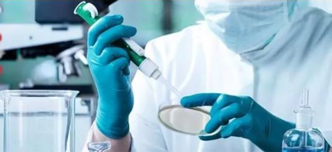 隱私親子鑒定與司法親子鑒定，到底怎么選？