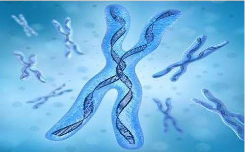 中山司法親子鑒定中心：鑒定親子關系哪種方法是最有效的？