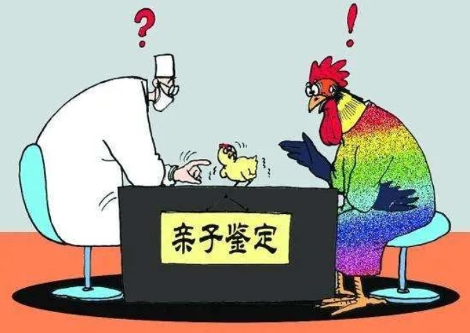 親子鑒定人數逐年上升，透過現象看本質：親子鑒定折射信任危機