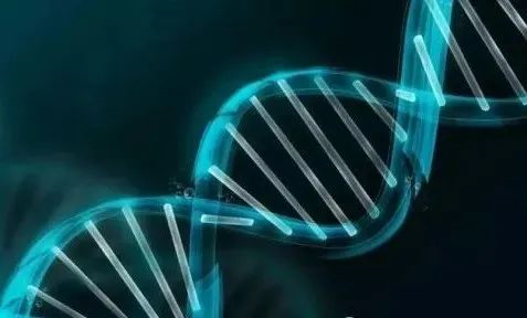 新生兒做親子鑒定需要什么樣本?