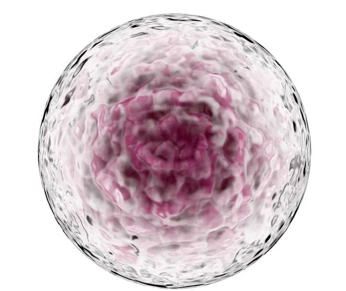 第三代試管咨詢