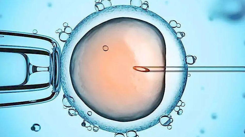 第三代試管咨詢