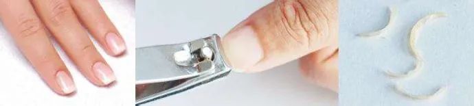 可以用指甲做親子DNA鑒定嗎？