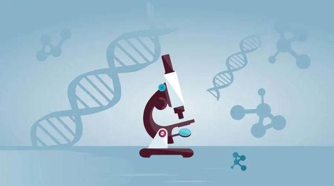 中山個人隱私親子鑒定：需要的證據和指南