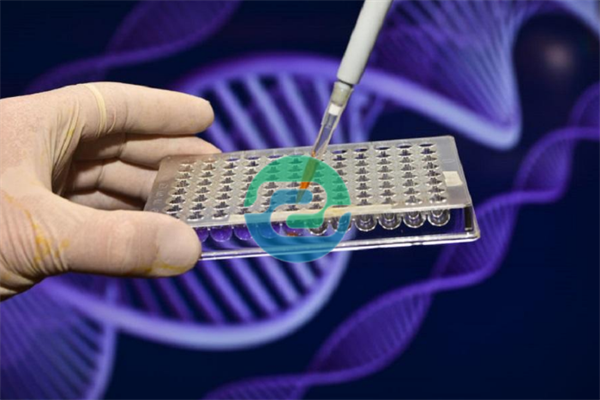 中山親子鑒定需要拍照嗎？