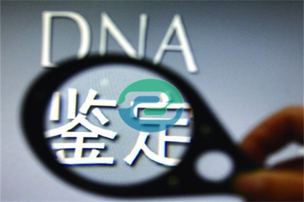 什么情況下需要做中山親子鑒定才能上戶口？