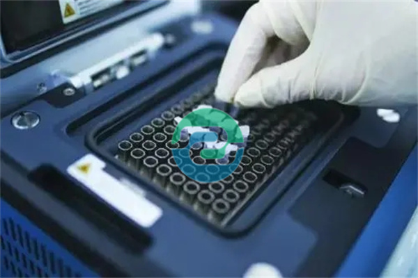 中山親子鑒定報告的關鍵點