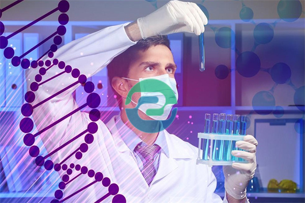 什么是中山無創DNA親子鑒定？