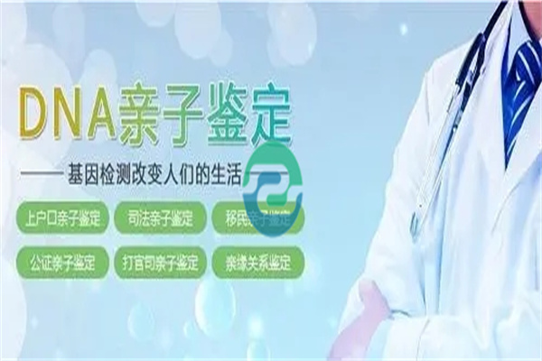 中山親子鑒定分兩種，材料差別很大！