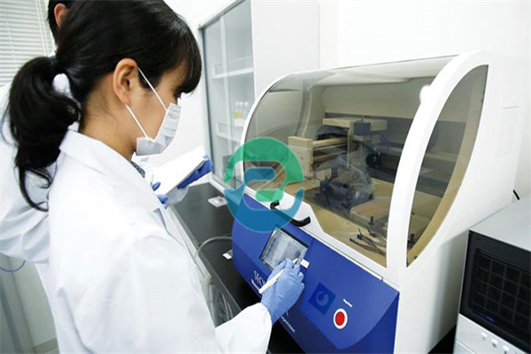 中山親子鑒定的真實陳述是一把雙刃劍！