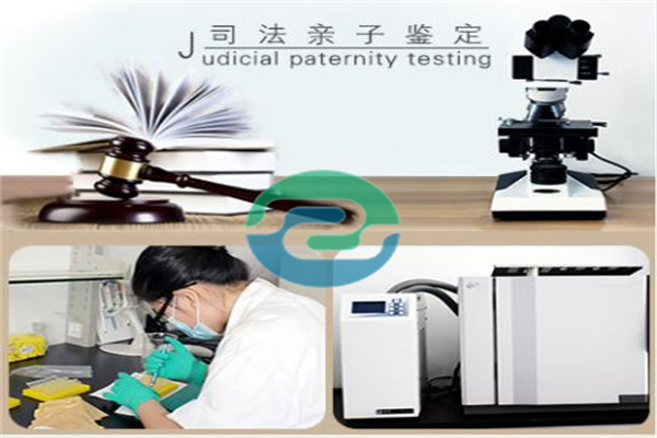 講解一下中山親子鑒定的門道，讓你少走彎路！