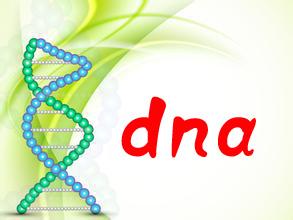 中山在哪里做戶口親子鑒定？戶口親子鑒定前需要做的準備