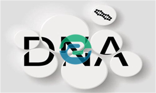 專家如何判斷中山親子機構是否有資質？