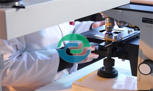 中山DNA親子鑒定在報戶籍中的應(yīng)用