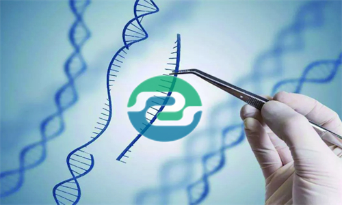 發(fā)現(xiàn)懷孕可以做中山親子鑒定嗎？可以保護(hù)隱私嗎？