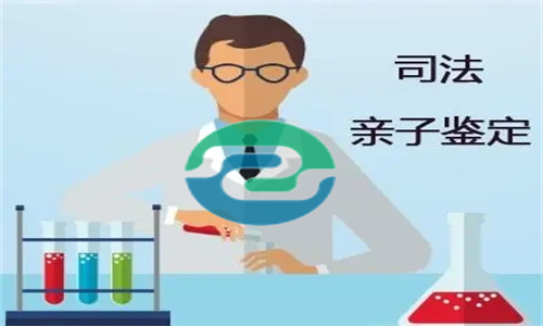 中山親子鑒定要花多少錢？盛澤基因