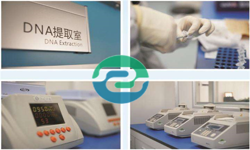 中山親子鑒定根據類型不同需要的材料也不一樣！