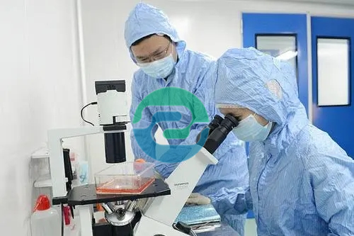 中山親子鑒定要花多少錢呢？什么因素影響價格？