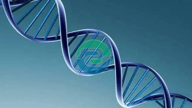 中山親子鑒定的價(jià)格不是固定的？盛澤基因