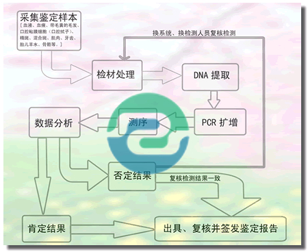非婚生子女需要做中山親子鑒定嗎？